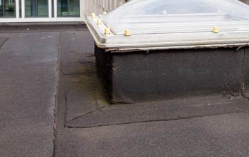 disadvantages of Haugham flat roofs