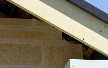soffit repair Haugham